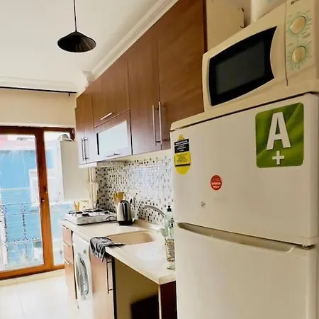Lejlighed Spacious 1br Near Taksim Istanbul