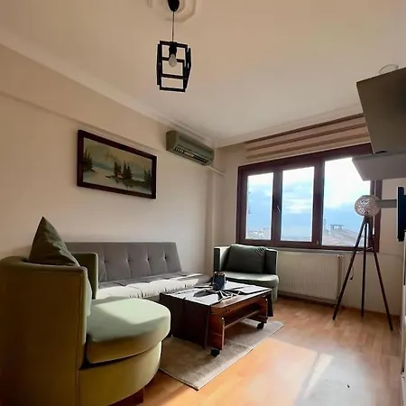 Lejlighed Spacious 1br Near Taksim Istanbul
