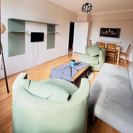 Lejlighed Spacious 1br Near Taksim *